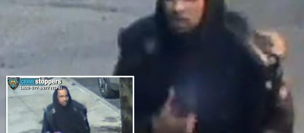 Creep molesting Queens women using juvenile spider trick: NYPD