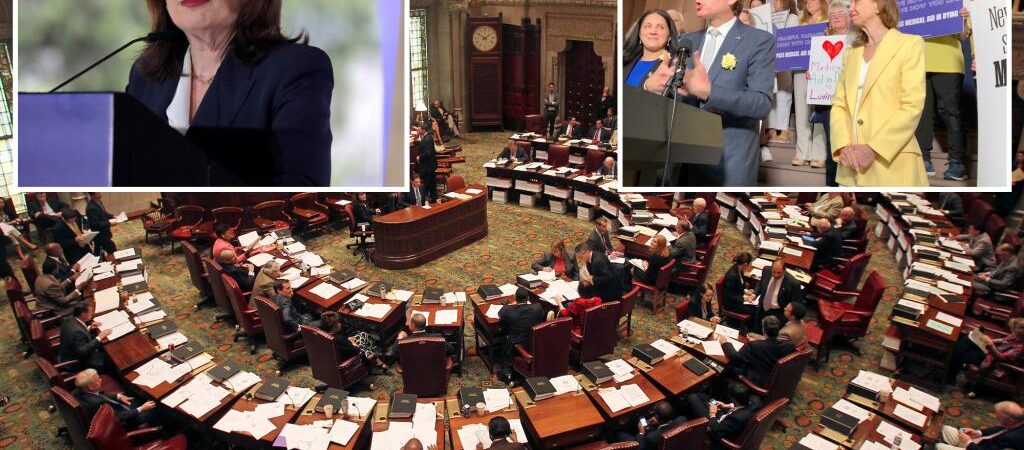 NY state Senate approves doctor-assisted suicide for terminally ill bill, sends it to Hochul’s desk
