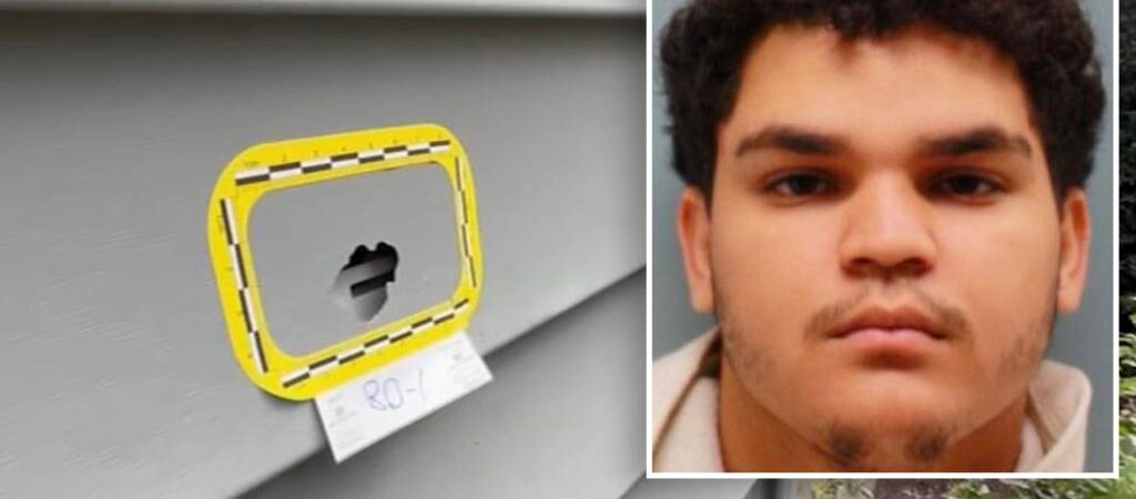 Squatter shoots roommate to death in argument over 0 in rent: report