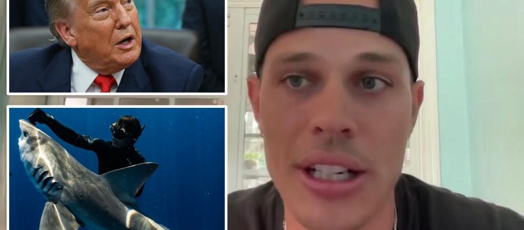Florida-based diver Tanner Mansell was left ‘speechless’ after receiving surprise pardon from President Trump