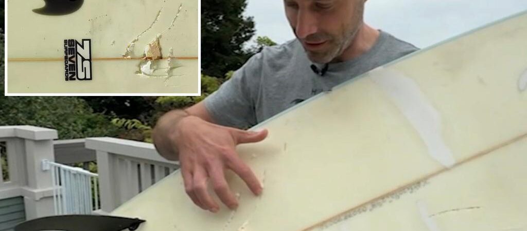 California surfer comes face to face with 10-foot shark after it tosses him from board