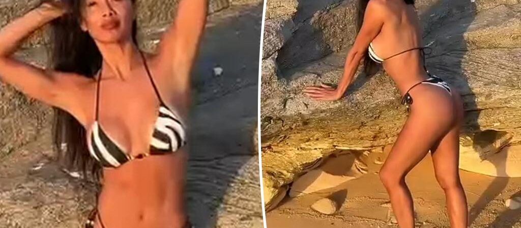 Nicole Scherzinger, 47, sizzles in animal-print bikini