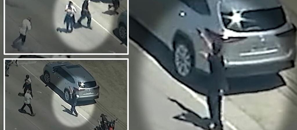 California protester fires gun at federal agents in chaotic clash during pot farm raid: wild video