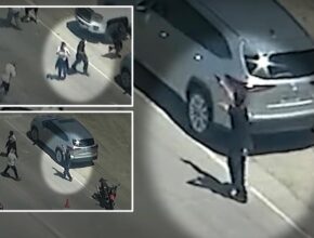 California protester fires gun at federal agents in chaotic clash during pot farm raid: wild video
