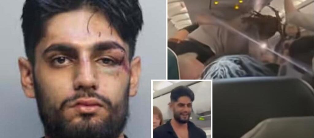 New Jersey man Ishaan Sharma gets pummeled after instigating fight on Frontier Airline flight