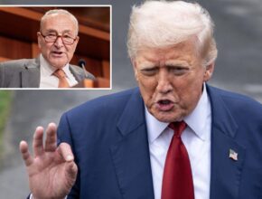 Trump tells Schumer to ‘GO TO HELL’ over Senate nominee deal funding demands after negotiations collapse
