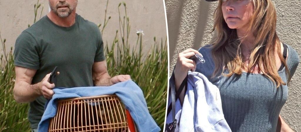 Aaron Phypers hits back at Denise Richards’ claims he put down their dog without permission