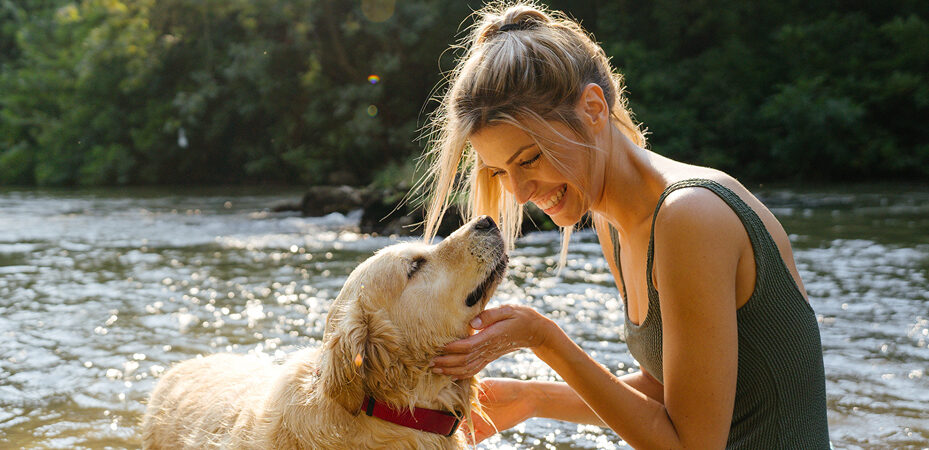 How Healthy Paws pet insurance helps you care for your furry family