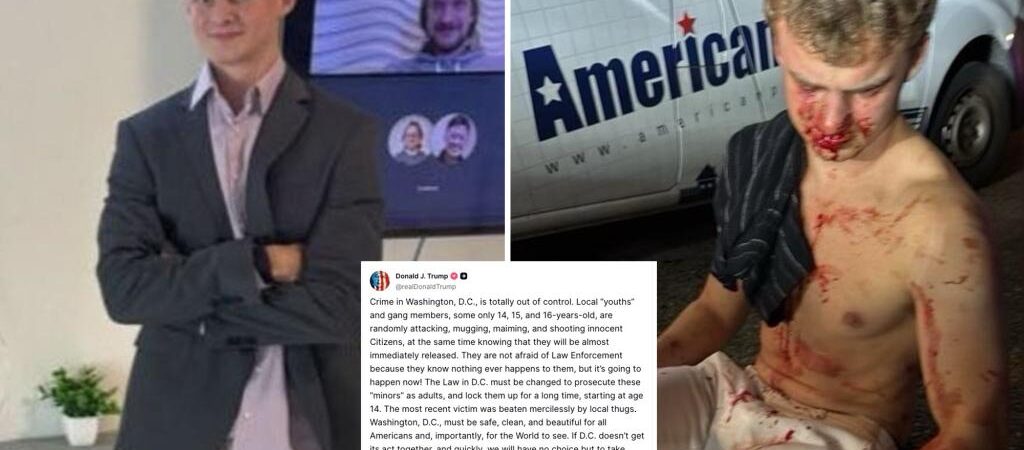 Ex-DOGE staffer nicknamed ‘Big Balls’ left bloodied after savage DC carjacking attempt by 10 juveniles