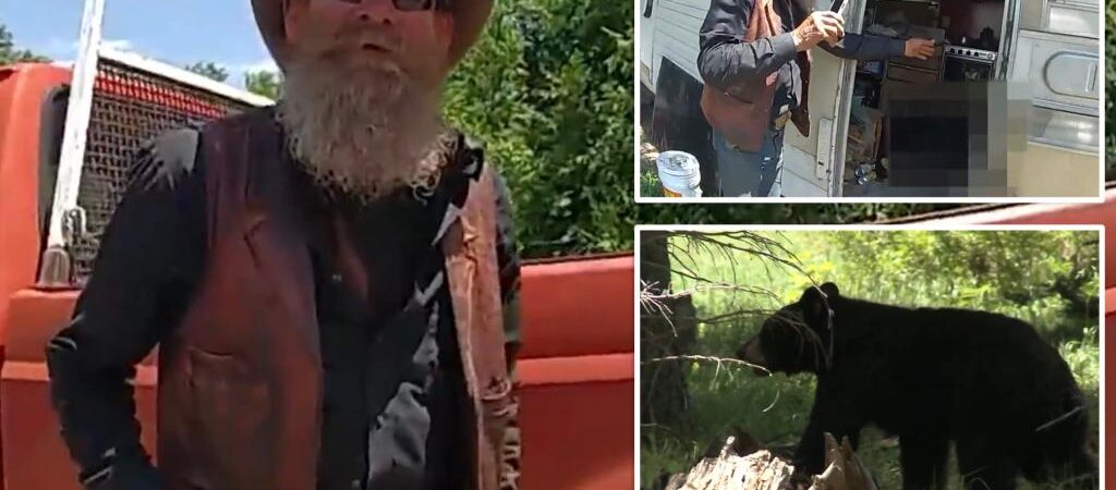 New Mexico man kills black bear that broke into his trailer home