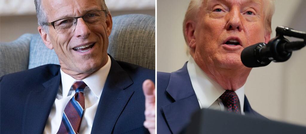 John Thune says recess appointments are ‘on the table’ as battle for Trump confirmations drags on